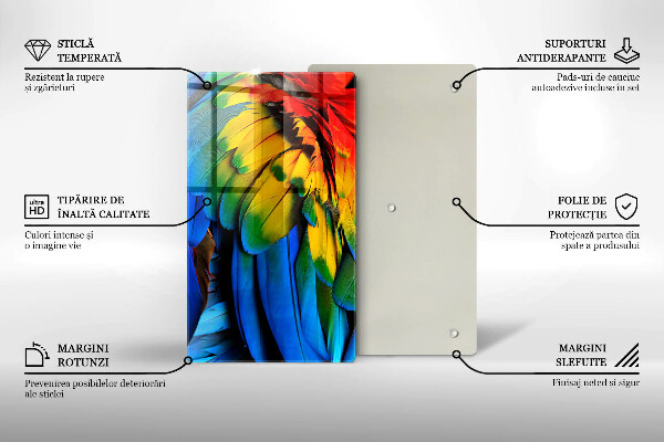 Deska kuchenna szklana Barwne pióra papugi