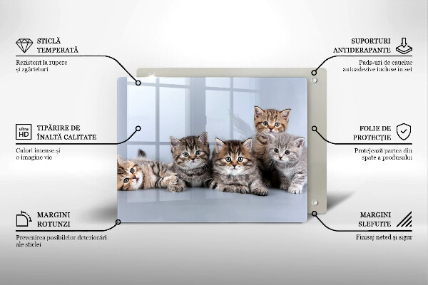 Szklana deska do krojenia Słodkie małe kotki