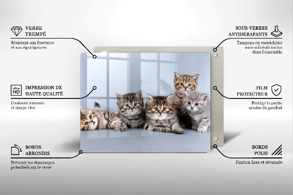 Szklana deska do krojenia Słodkie małe kotki