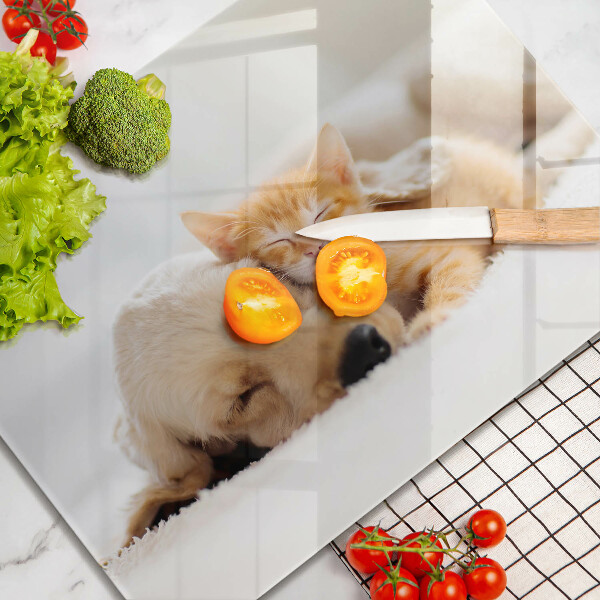 Szklana deska do krojenia Zwierzęta pies i kot