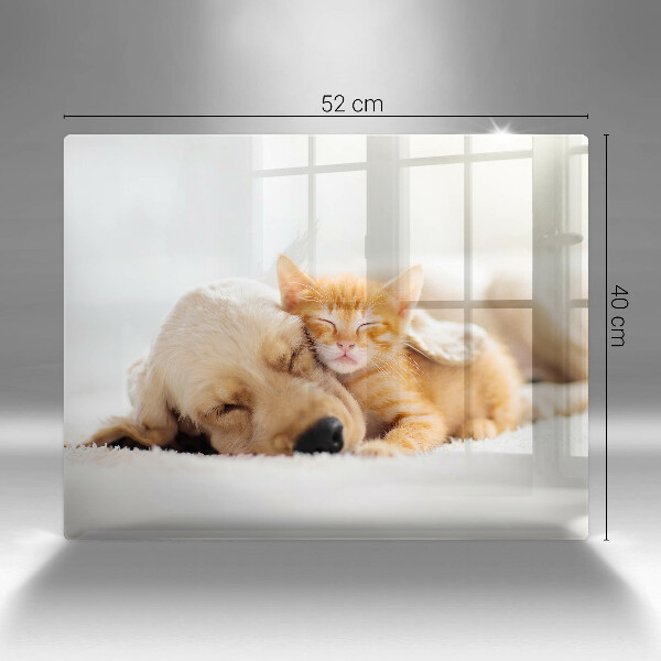 Szklana deska do krojenia Zwierzęta pies i kot