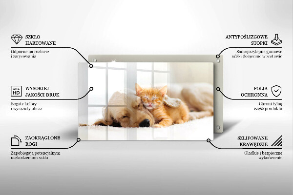 Szklana deska do krojenia Zwierzęta pies i kot