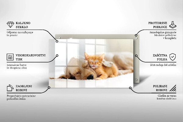 Szklana deska do krojenia Zwierzęta pies i kot