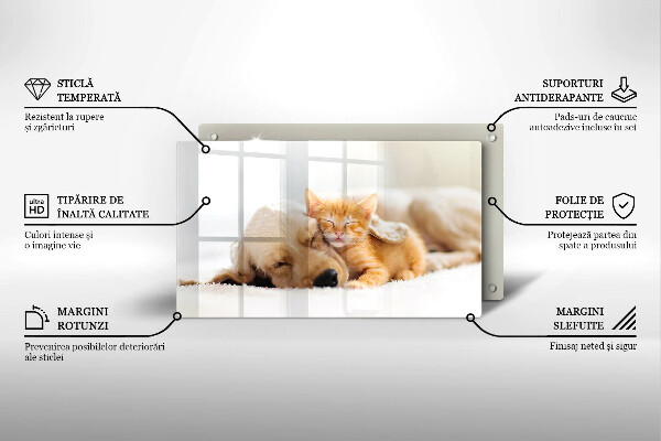 Szklana deska do krojenia Zwierzęta pies i kot