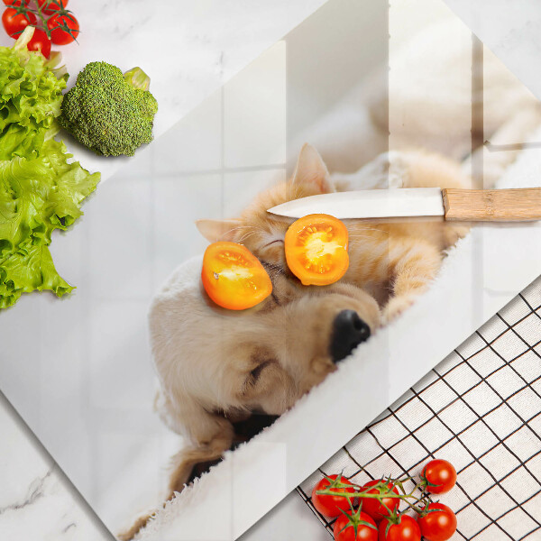 Szklana deska do krojenia Zwierzęta pies i kot