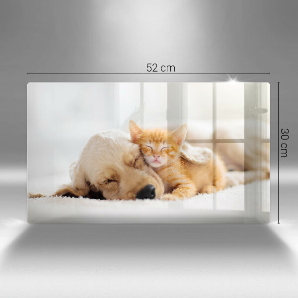 Szklana deska do krojenia Zwierzęta pies i kot