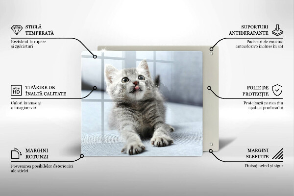 Deska kuchenna Mały uroczy kotek