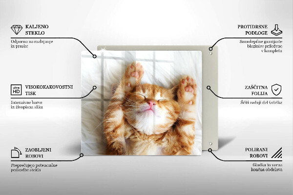 Deska kuchenna Mały słodki kotek