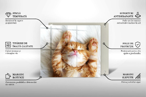 Deska kuchenna Mały słodki kotek