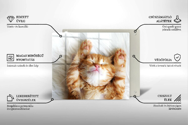 Deska kuchenna Mały słodki kotek