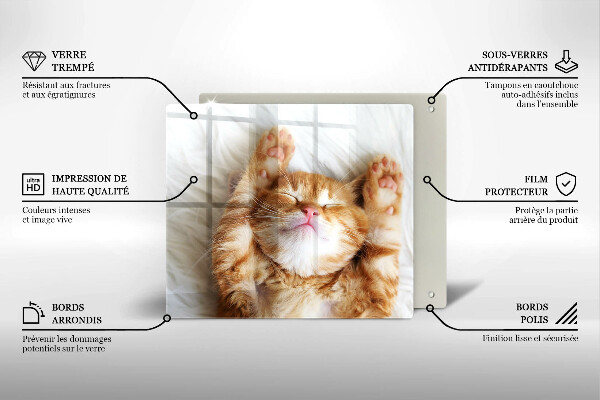 Deska kuchenna Mały słodki kotek