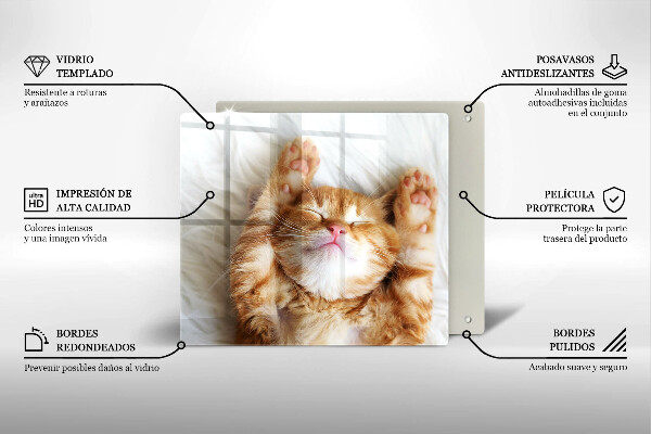 Deska kuchenna Mały słodki kotek