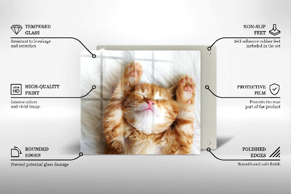 Deska kuchenna Mały słodki kotek