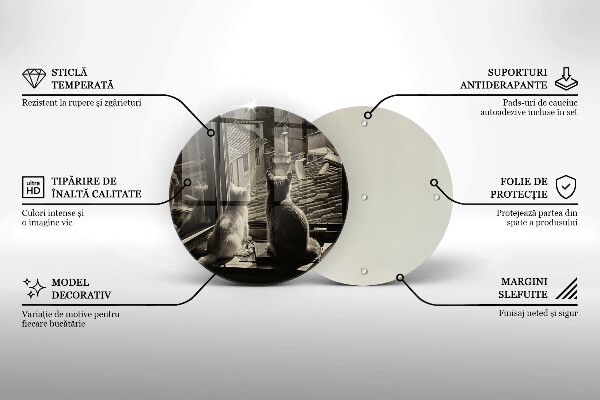 Deska kuchenna szklana Koty miasto i okno