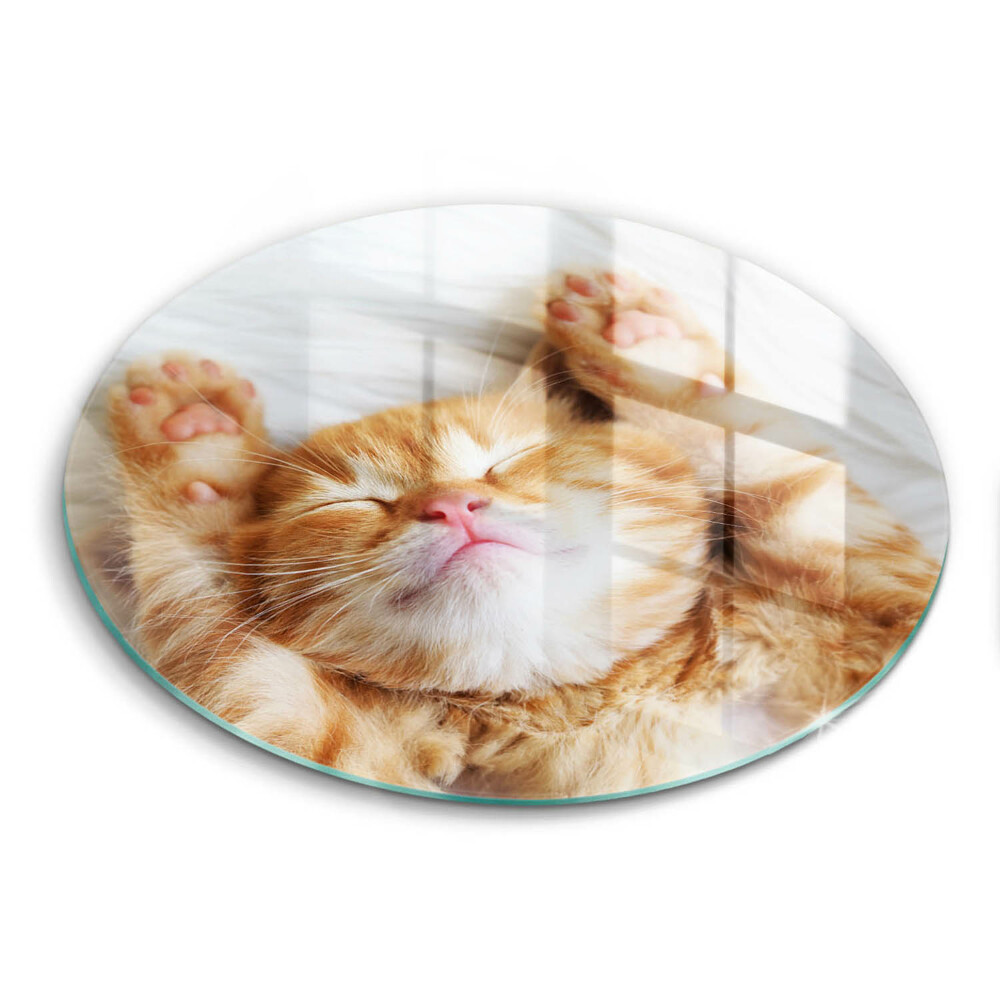 Deska kuchenna szklana Mały słodki kotek