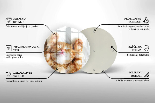 Deska kuchenna szklana Mały słodki kotek