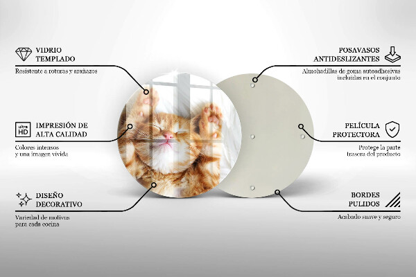 Deska kuchenna szklana Mały słodki kotek