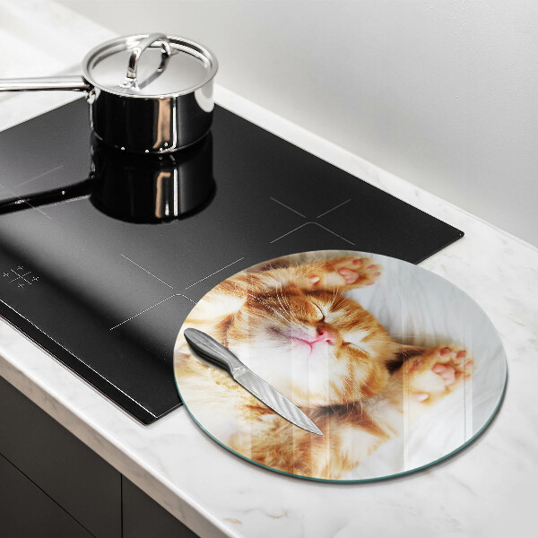 Deska kuchenna szklana Mały słodki kotek