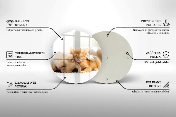 Deska kuchenna szklana Zwierzęta pies i kot