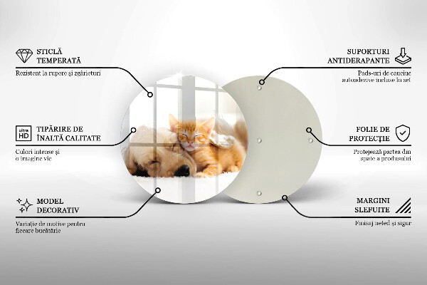 Deska kuchenna szklana Zwierzęta pies i kot