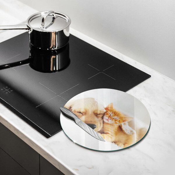 Deska kuchenna szklana Zwierzęta pies i kot