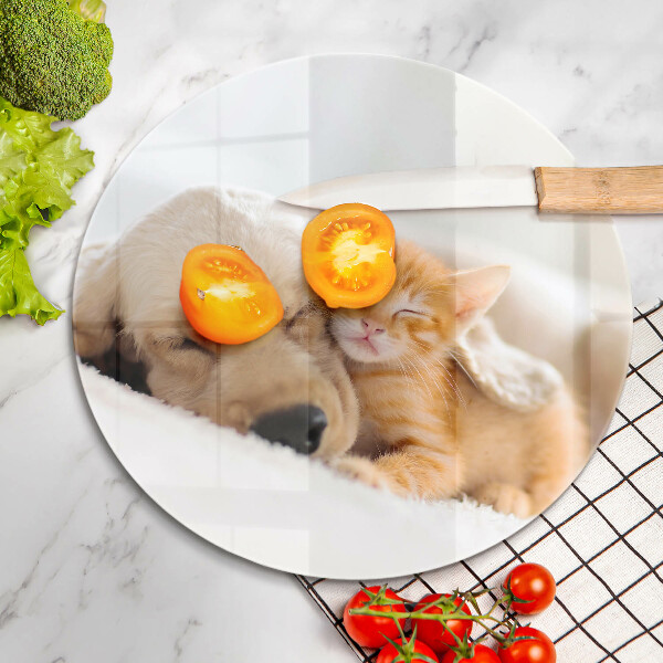 Deska kuchenna szklana Zwierzęta pies i kot