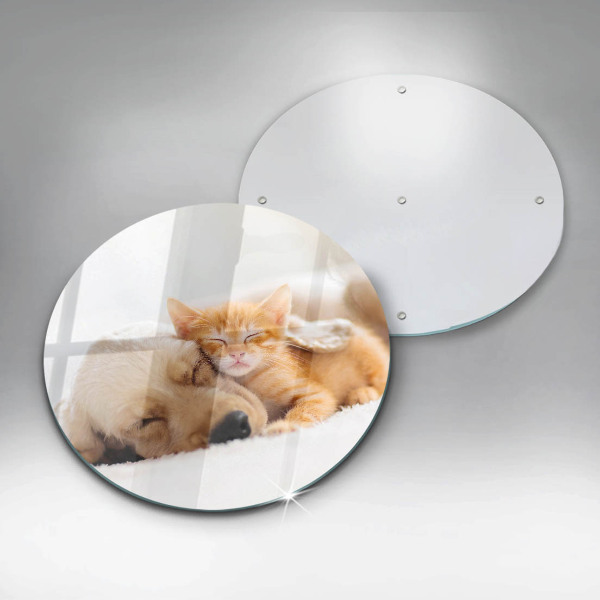 Deska kuchenna szklana Zwierzęta pies i kot