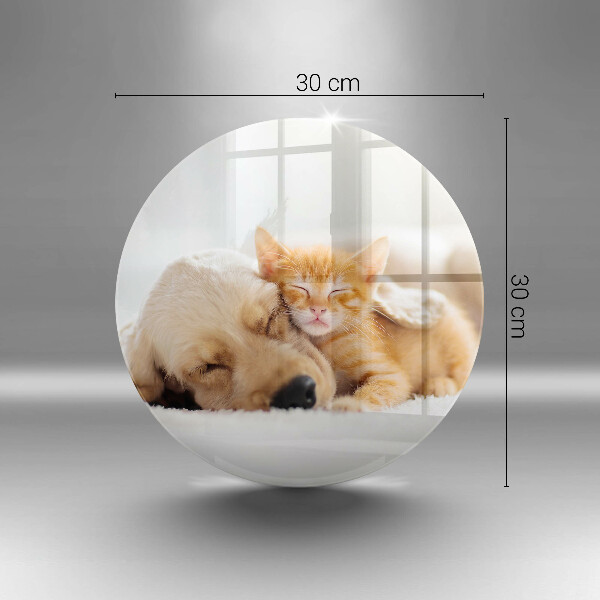 Deska kuchenna szklana Zwierzęta pies i kot