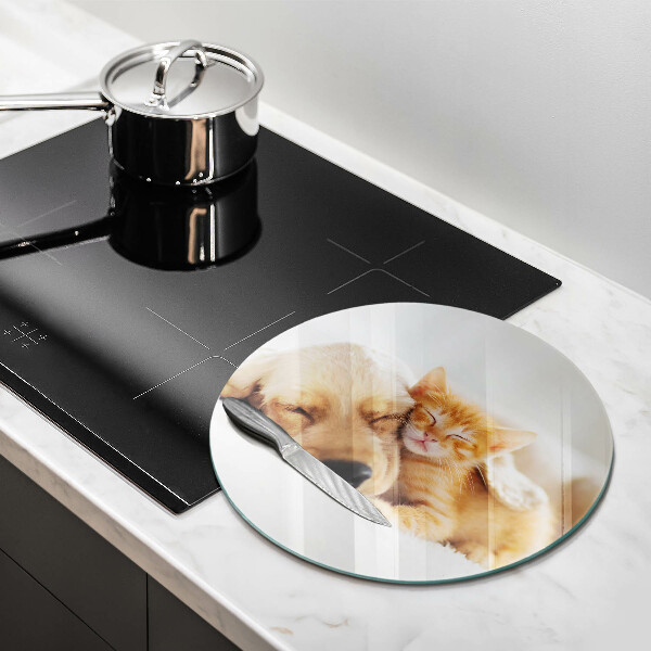 Deska kuchenna szklana Zwierzęta pies i kot