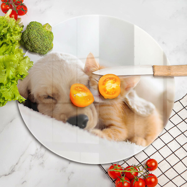 Deska kuchenna szklana Zwierzęta pies i kot