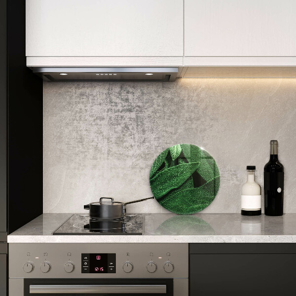 Deska kuchenna szklana Liście rośliny