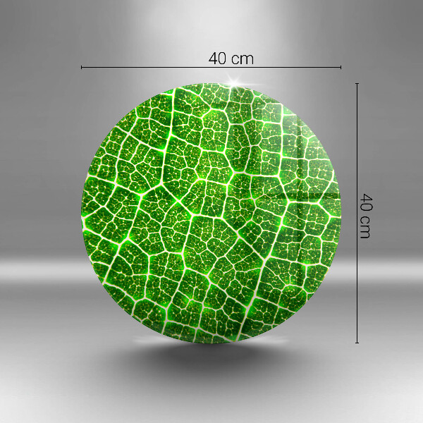 Szklana deska kuchenna Struktura liścia