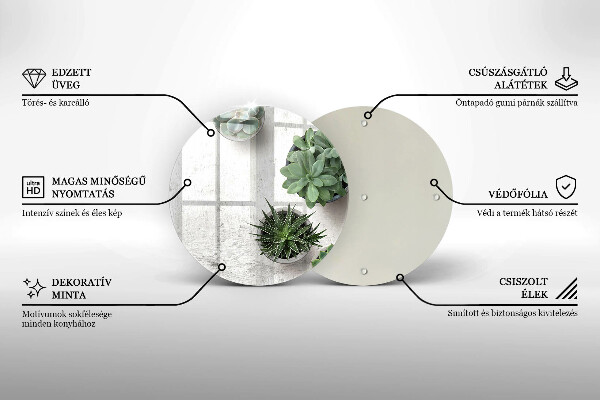 Deska kuchenna szklana Sukulenty na betonie