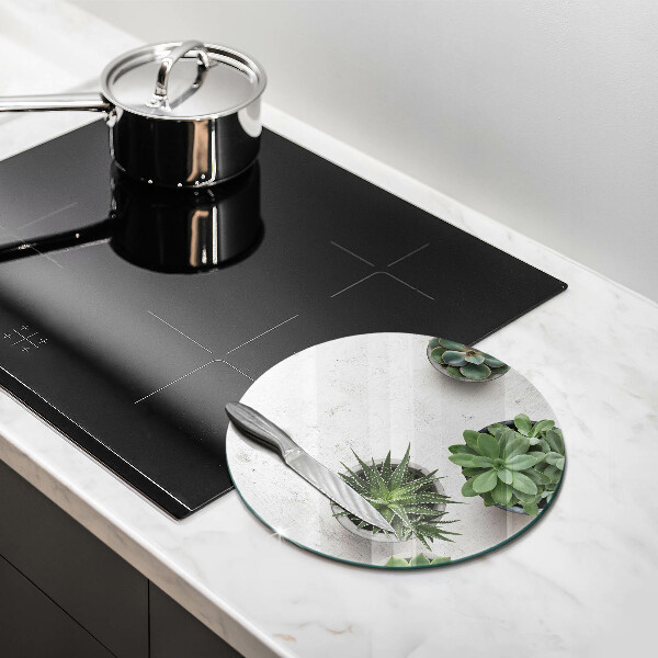 Deska kuchenna szklana Sukulenty na betonie