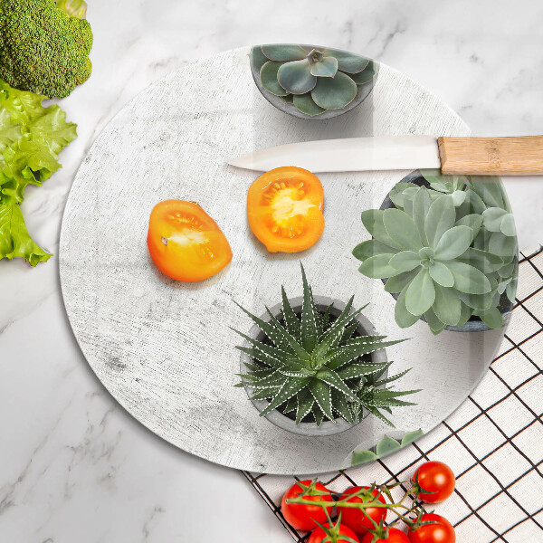 Deska kuchenna szklana Sukulenty na betonie