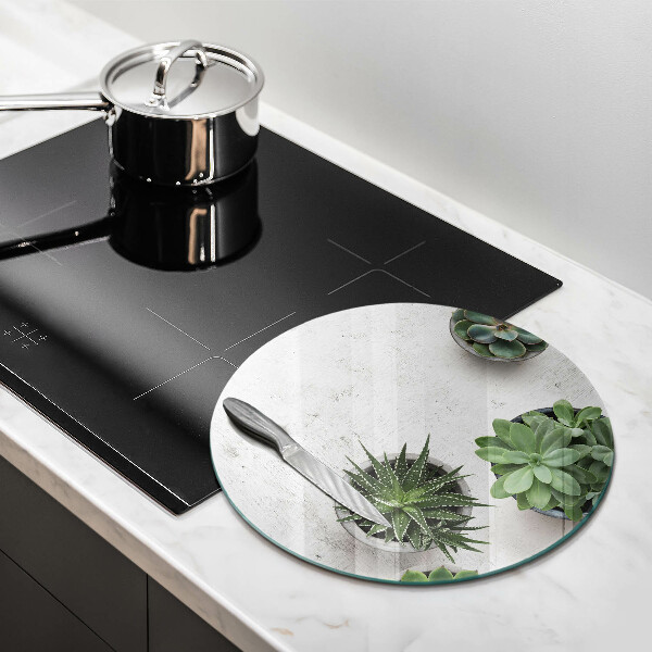 Deska kuchenna szklana Sukulenty na betonie