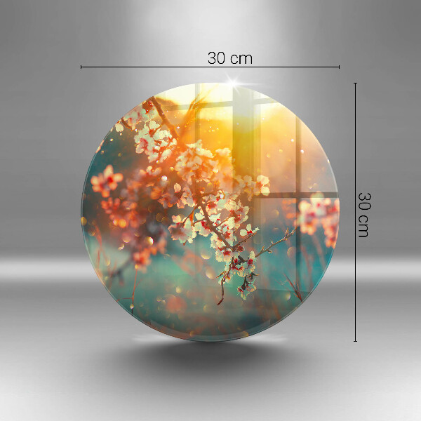 Deska kuchenna szklana Kwiaty jabłoni w słońcu