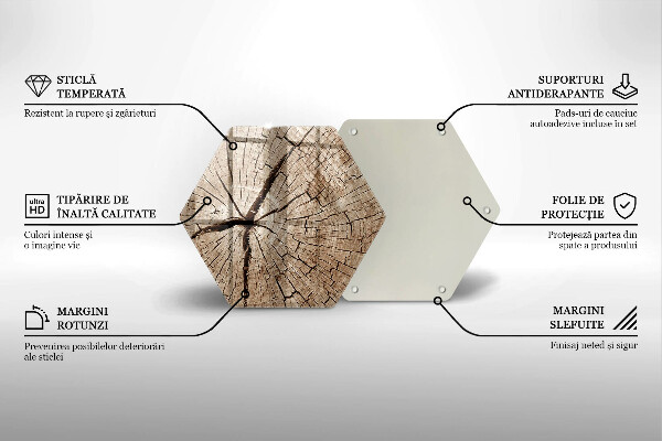 Deska szklana do kuchni Przekrój drzewa