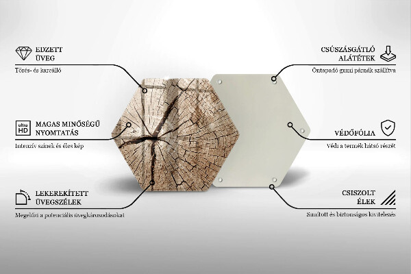 Deska szklana do kuchni Przekrój drzewa