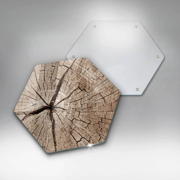 Deska szklana do kuchni Przekrój drzewa