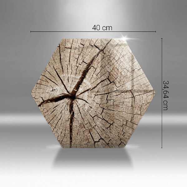 Deska szklana do kuchni Przekrój drzewa