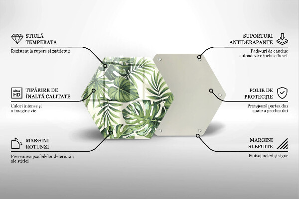 Deska szklana do kuchni Ilustracja liście monstery