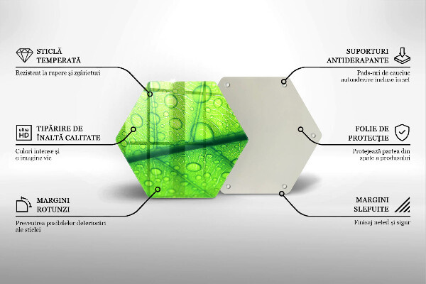Deska szklana kuchenna Zbliżenie liścia