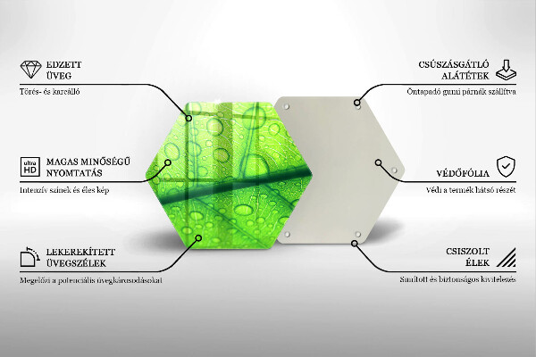 Deska szklana kuchenna Zbliżenie liścia