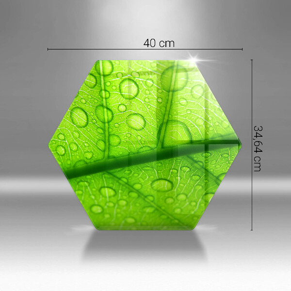 Deska szklana kuchenna Zbliżenie liścia