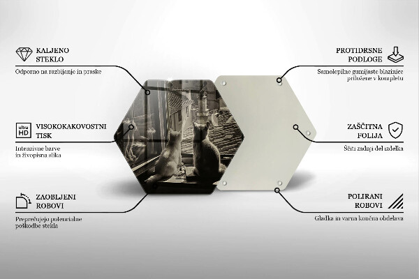 Deska szklana do kuchni Koty miasto i okno