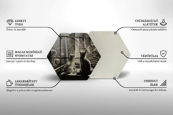 Deska szklana do kuchni Koty miasto i okno