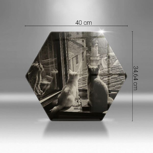 Deska szklana do kuchni Koty miasto i okno