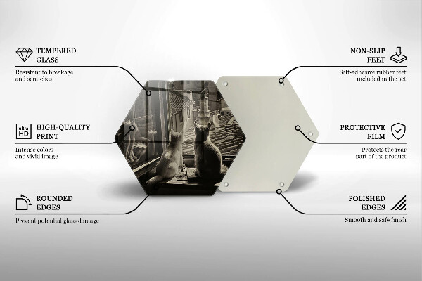 Deska szklana do kuchni Koty miasto i okno