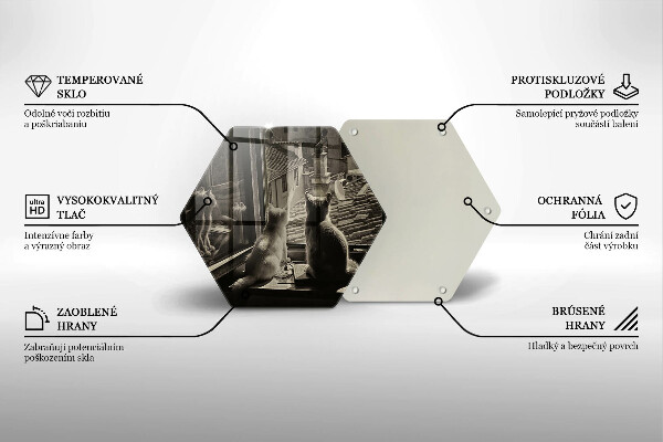 Deska szklana do kuchni Koty miasto i okno